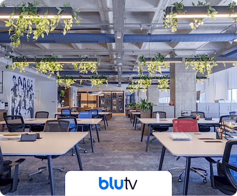 Kolektif House iş ortaklarından BluTv'nin promosyonel logo görseli