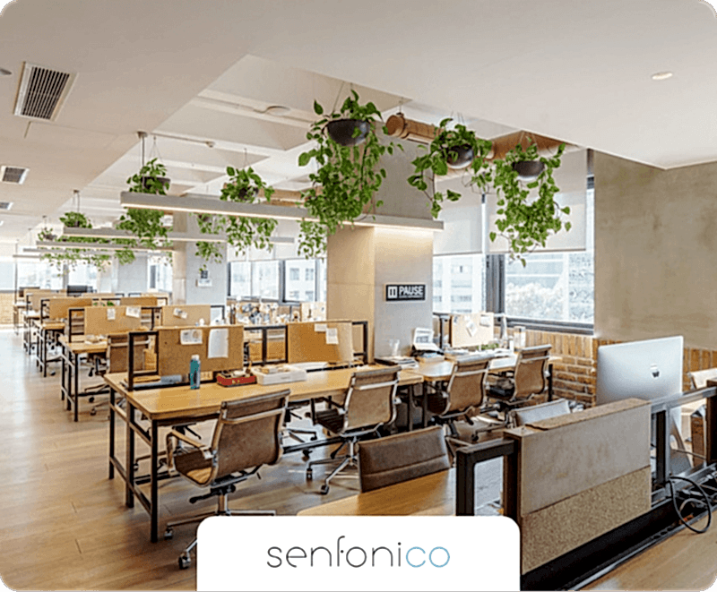 Kolektif House iş ortaklarından Senfonico'nun promosyonel logo görseli