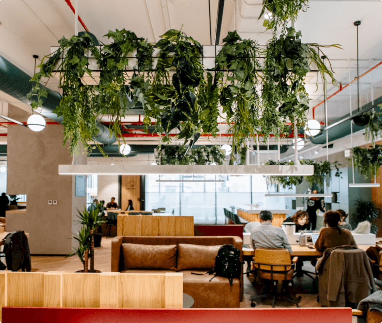 Kolektif Ailesi’nin Anadolu yakasındaki ilk evi.